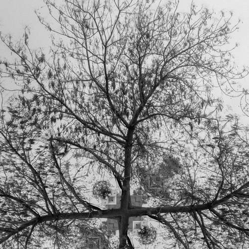 Photo #6877471