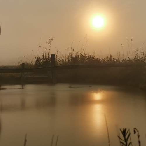 Photo #6877564