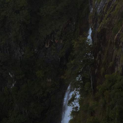 Photo #6877565