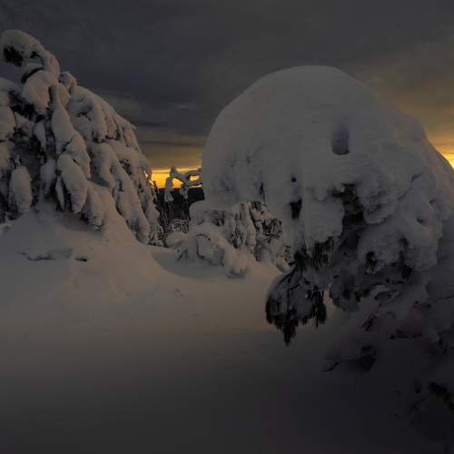 Photo #6877594
