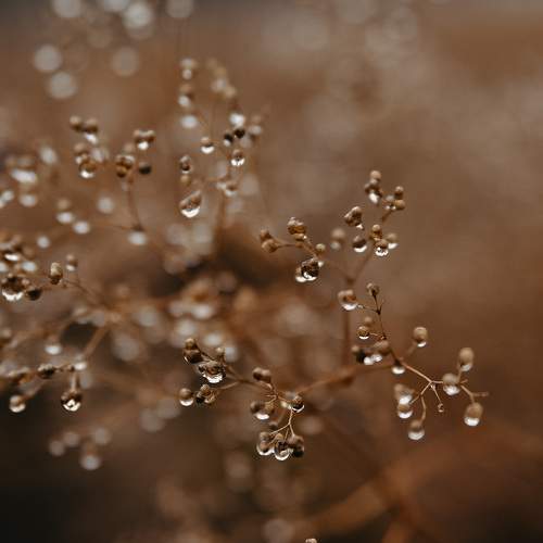 Photo #6877703