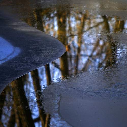 Photo #6877757
