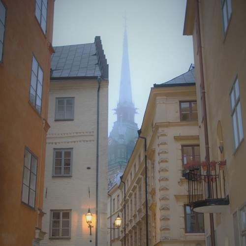 Photo #6878477