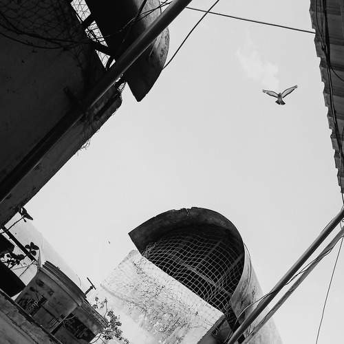 Photo #6878480