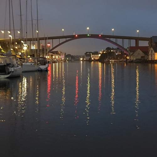 Photo #6878538