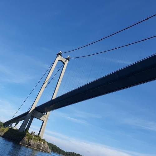 Photo #6878554