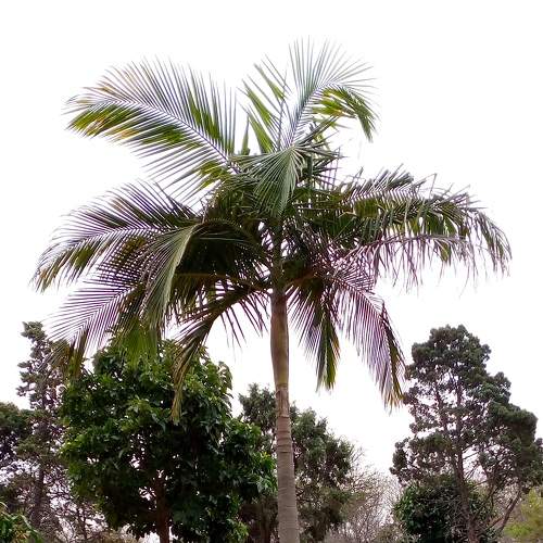 Photo #6878583