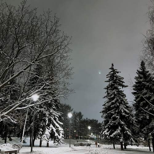 Photo #6878620