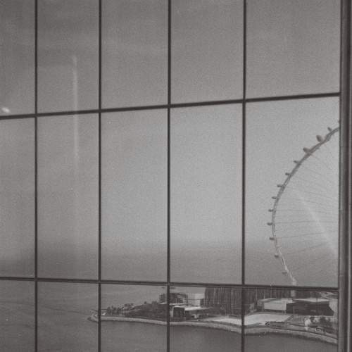 Photo #6879027