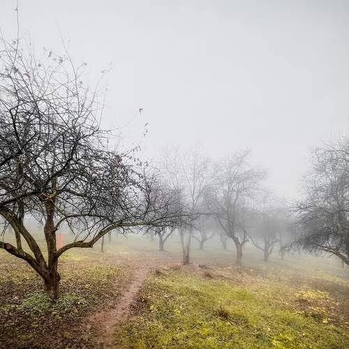 Photo #6879057