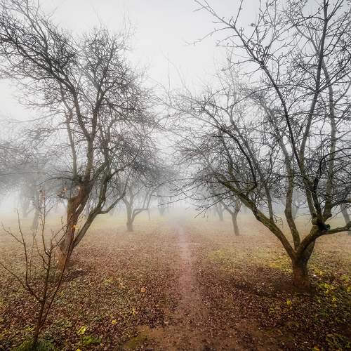 Photo #6879058