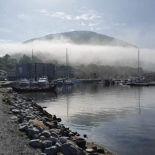 Photo #6879097