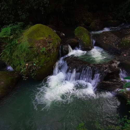Photo #6879138