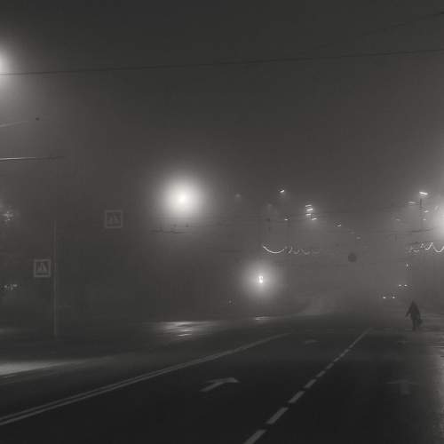 Photo #6879641