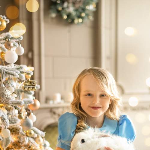 Alice and white rabbit