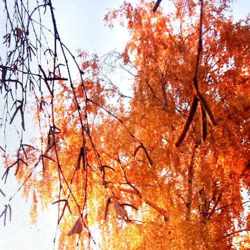 Photo #6879901