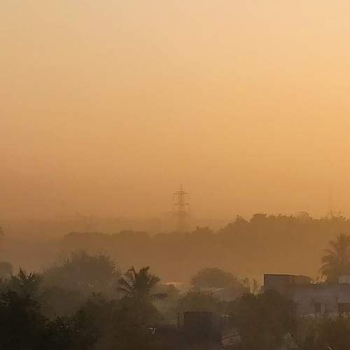 Photo #6880165