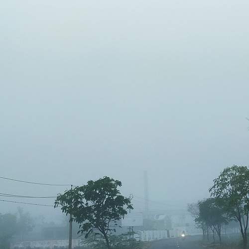 Photo #6880244