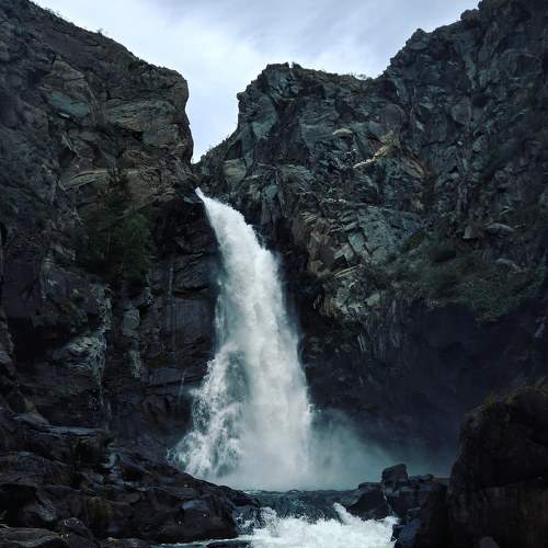 Photo #6880469