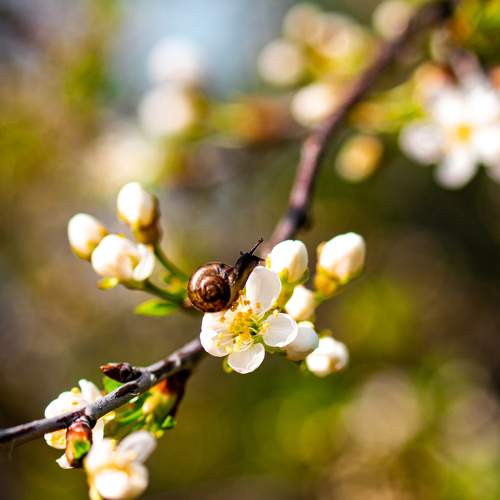 Photo #6880549