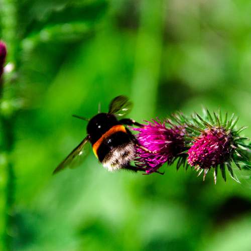 Photo #6880550