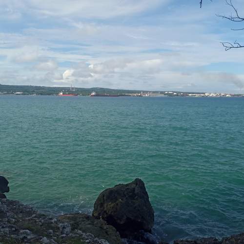 Photo #6880588