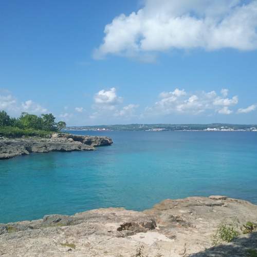 Photo #6880602