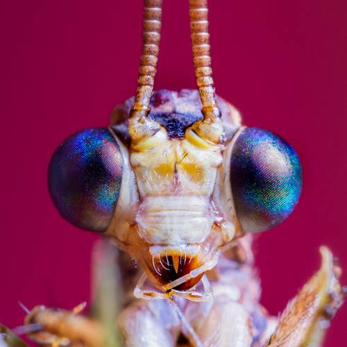Photo #6880656