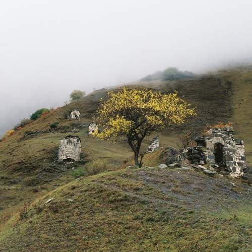 Photo #6881489