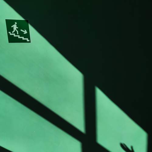 Photo #6881669