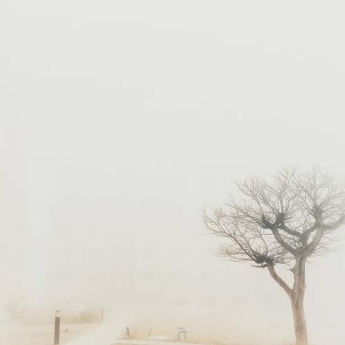 Photo #6881865