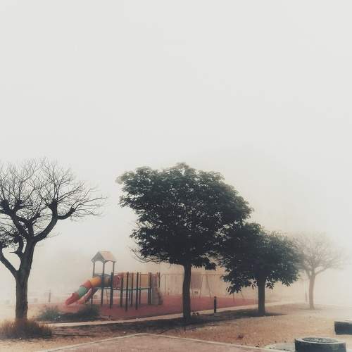 Photo #6881866