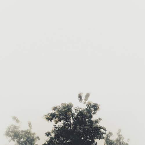 Photo #6881868