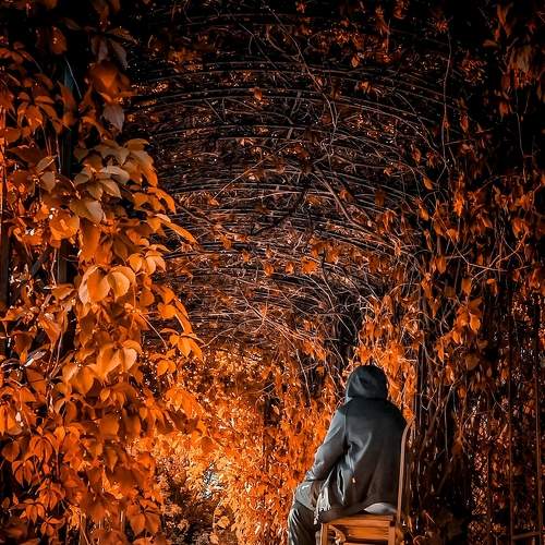 Photo #6882144