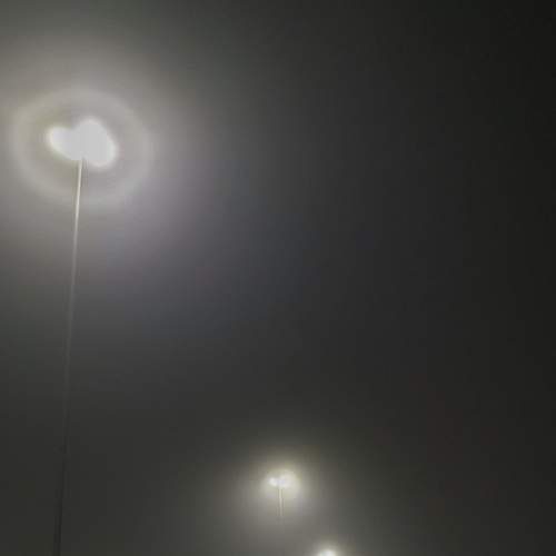 Photo #6882226