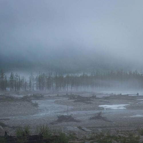 Photo #6882238