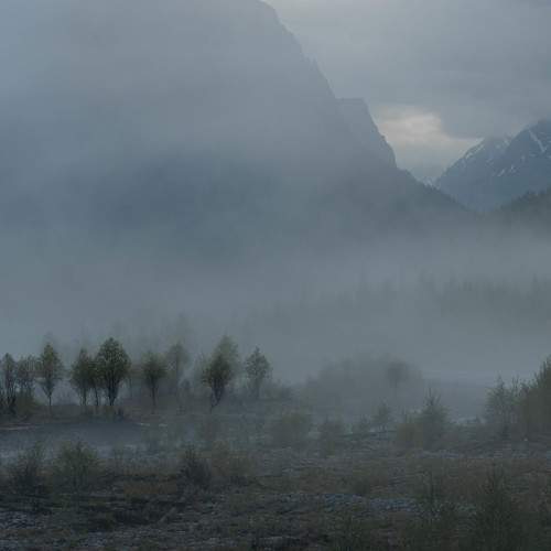 Photo #6882239