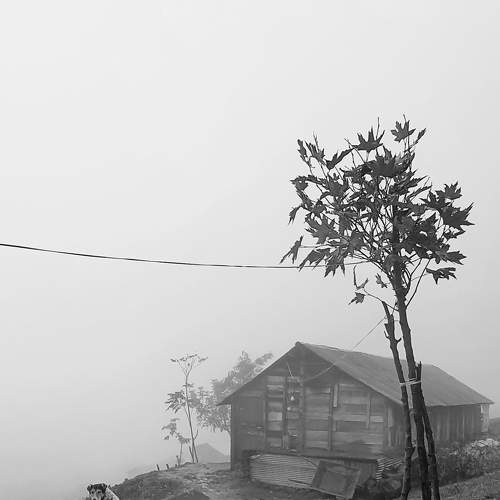 Solitude in a dismal day