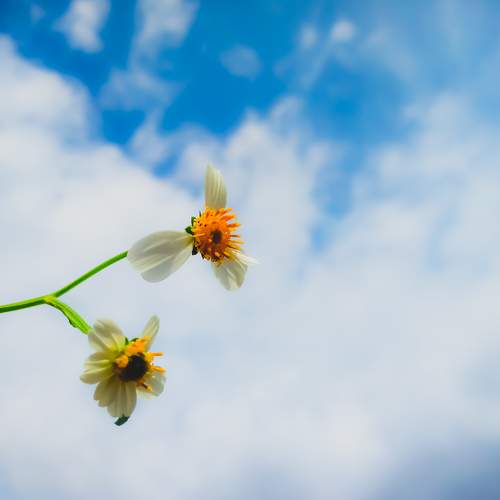 Photo #6882790