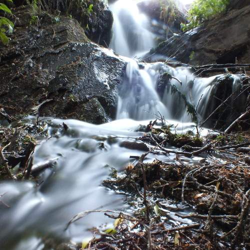 Photo #6883067