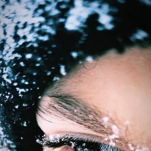 Photo #6883202