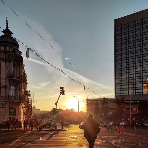 Photo #6883317