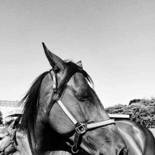 Photo #6883340