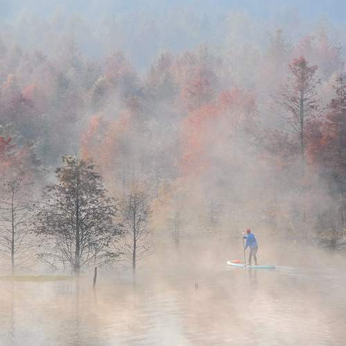 Photo #6883350