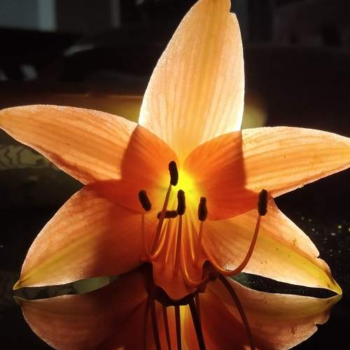 Photo #6883466