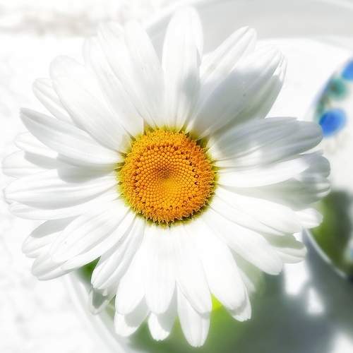 Photo #6883678