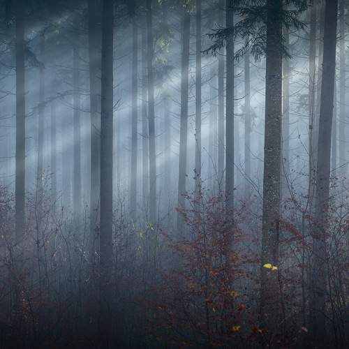 Фотография #6883808