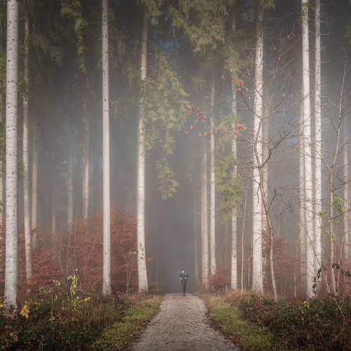 Фотография #6883810