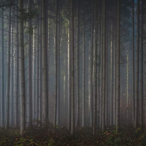 Фотография #6883811