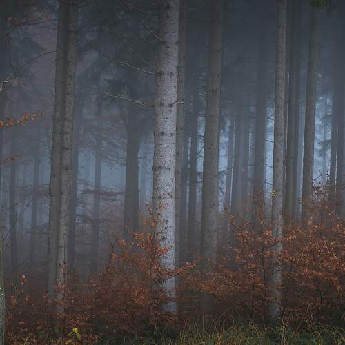 Фотография #6883812